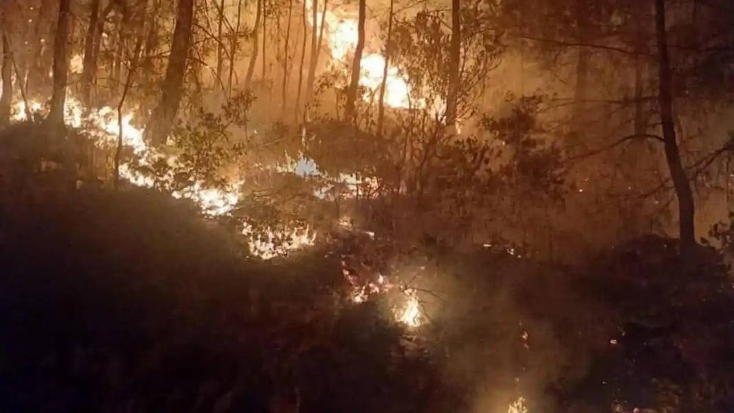 Gazipaşa’da Orman Yangını Korkuttu 4